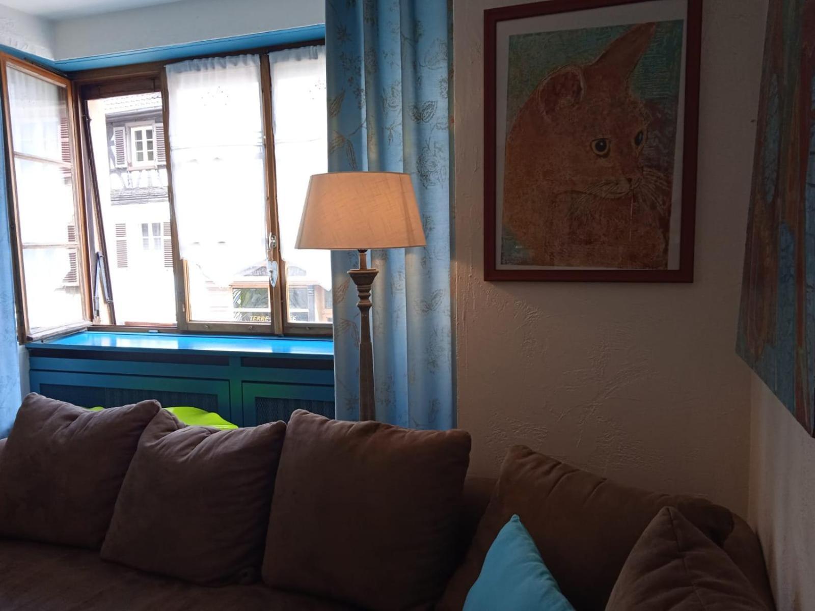 Appartements & Chambres Les Loges Du Capucin Kaysersberg-Vignoble Esterno foto