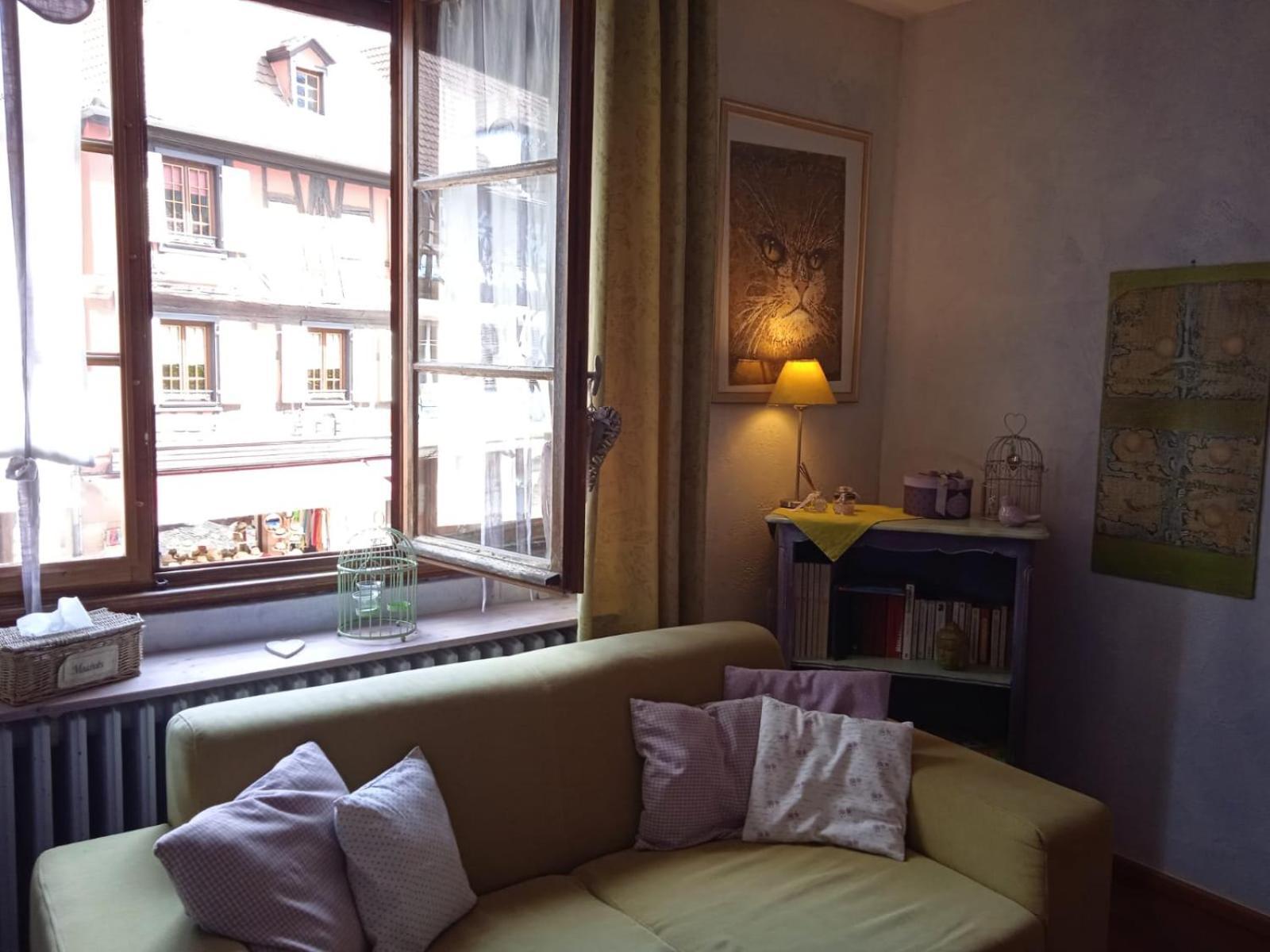 Appartements & Chambres Les Loges Du Capucin Kaysersberg-Vignoble Esterno foto