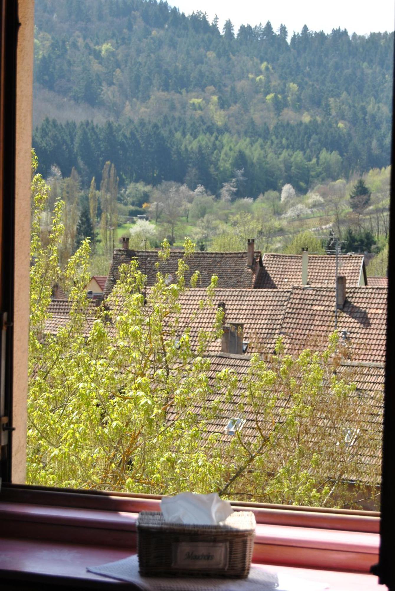 Appartements & Chambres Les Loges Du Capucin Kaysersberg-Vignoble Esterno foto