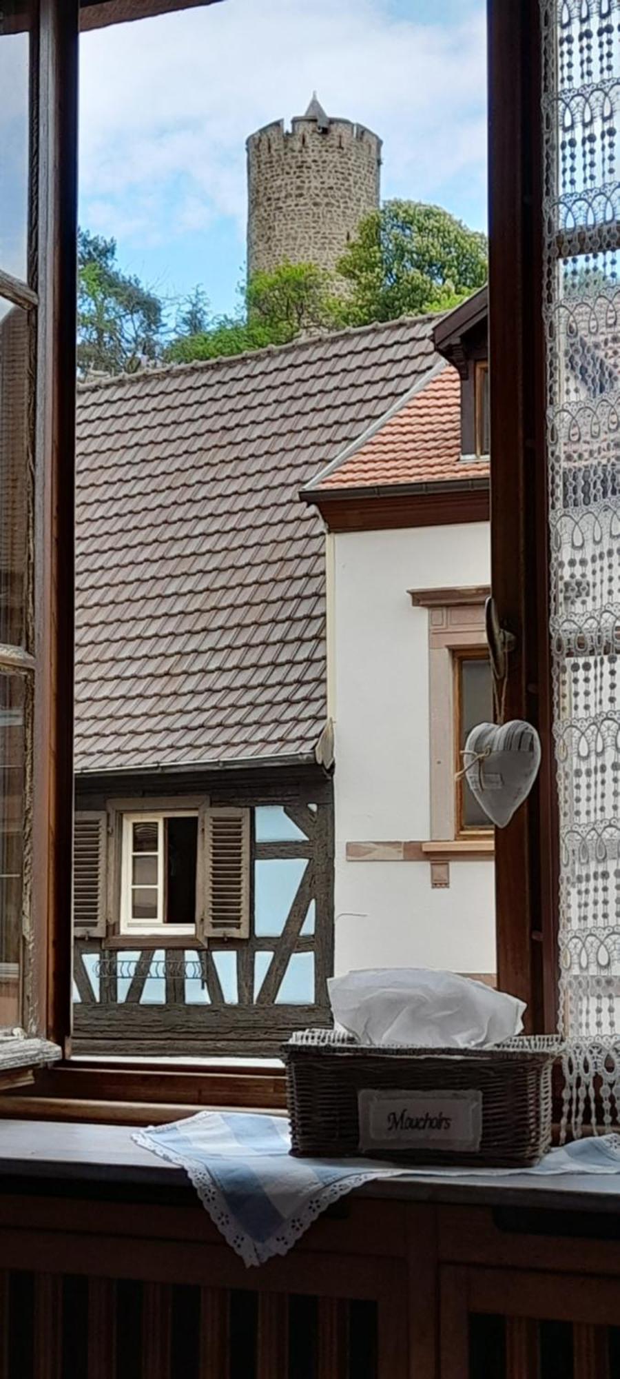Appartements & Chambres Les Loges Du Capucin Kaysersberg-Vignoble Esterno foto